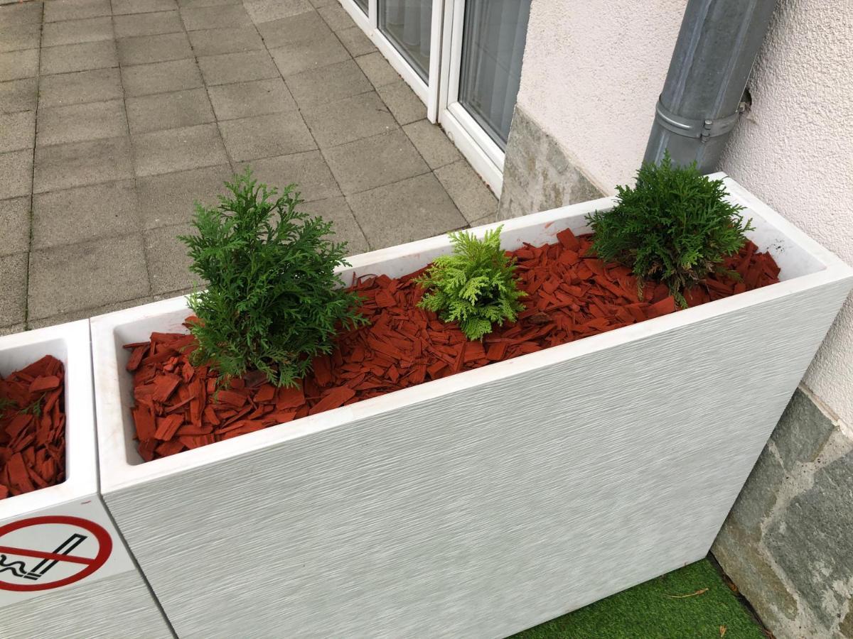 Apartament Studio Czarna Gora II Шенна Екстериор снимка